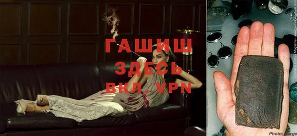 индика Алексин