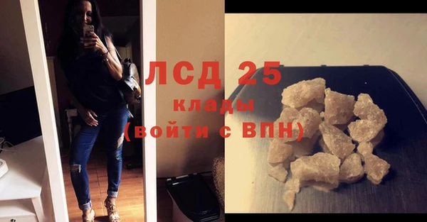 индика Алексин