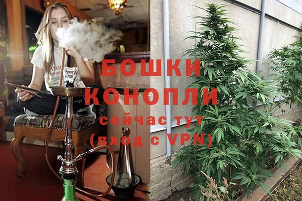 бошки Абинск