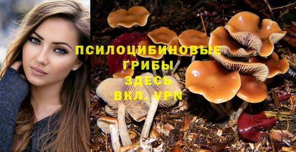 индика Алексин