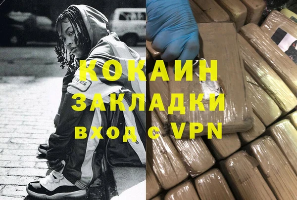индика Алексин