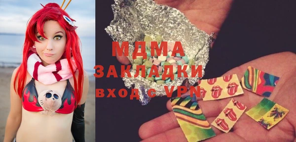индика Алексин