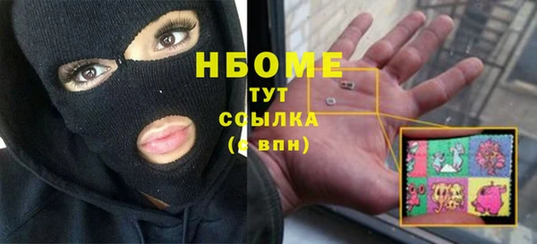 индика Алексин